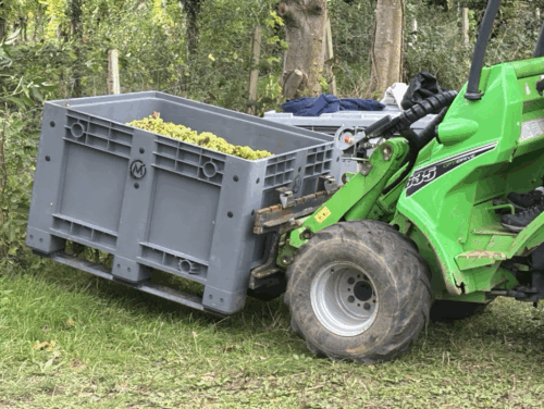 Crate full of grapes 
